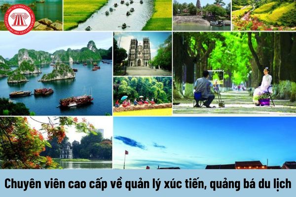 Cách Khởi Nghiệp Kiếm Tiền Bán Thời Gian Dành Cho Người Mới_cách làm video lan truyền